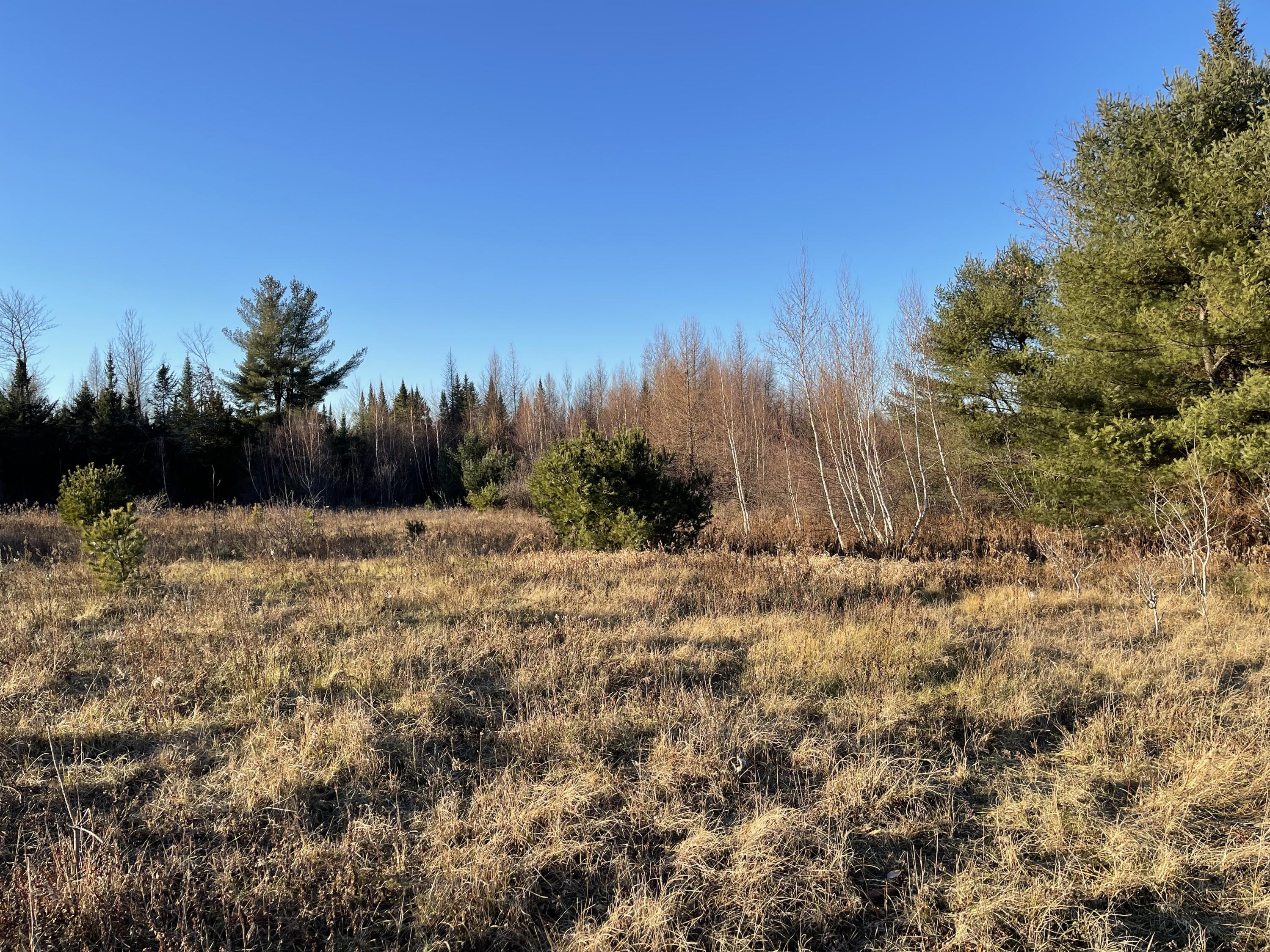 0 Getchell Road Embden, ME 04958 - Photo 17 of 37 IMG_1145