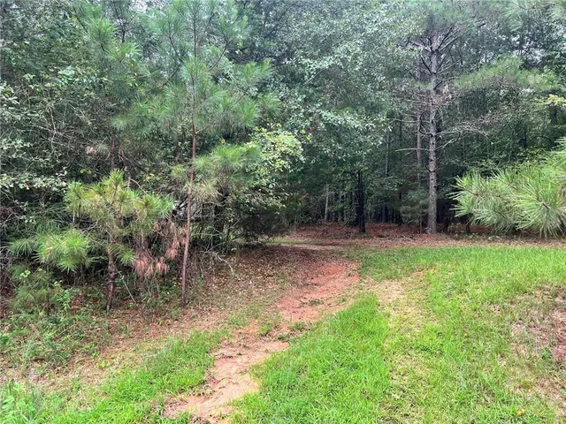 a view of backyard with green space