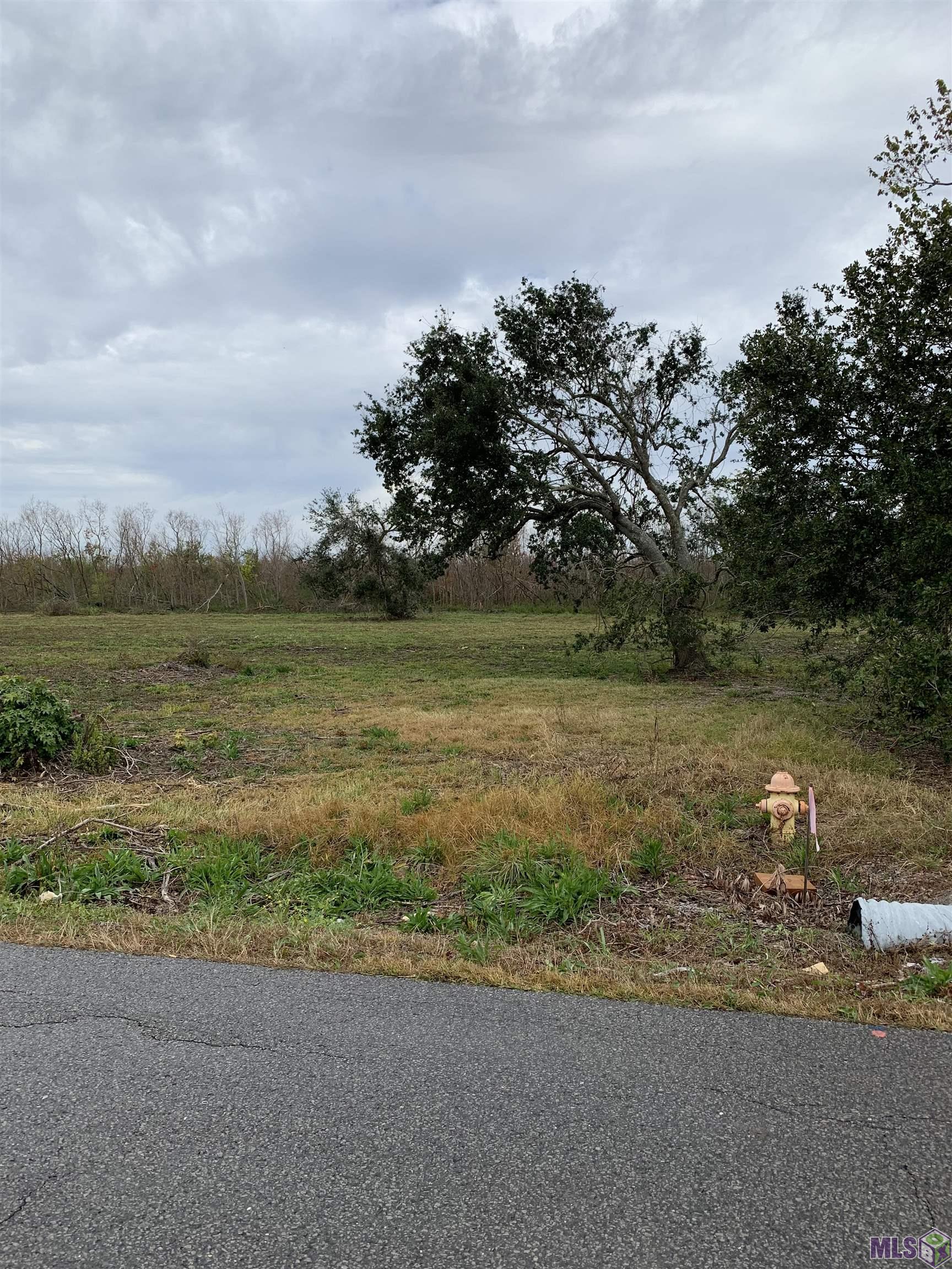 1808 Dr Beatrous Road Theriot, LA 70397 - Photo 2 of 2 Gallery Image 2