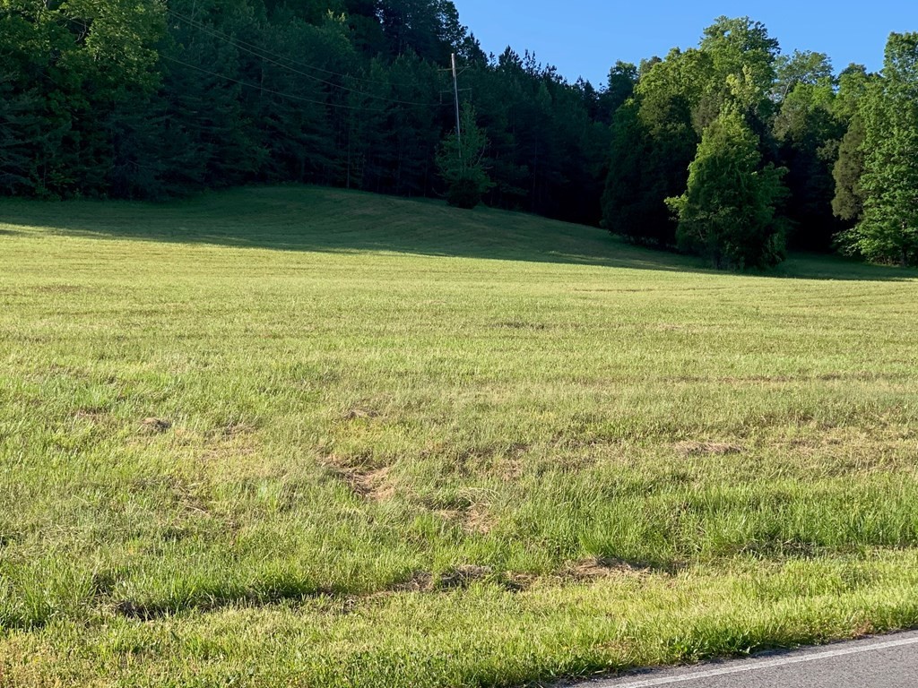 0 Wolf Creek Road Spring City, TN 37381 - Photo 9 of 9 Gallery Image 9