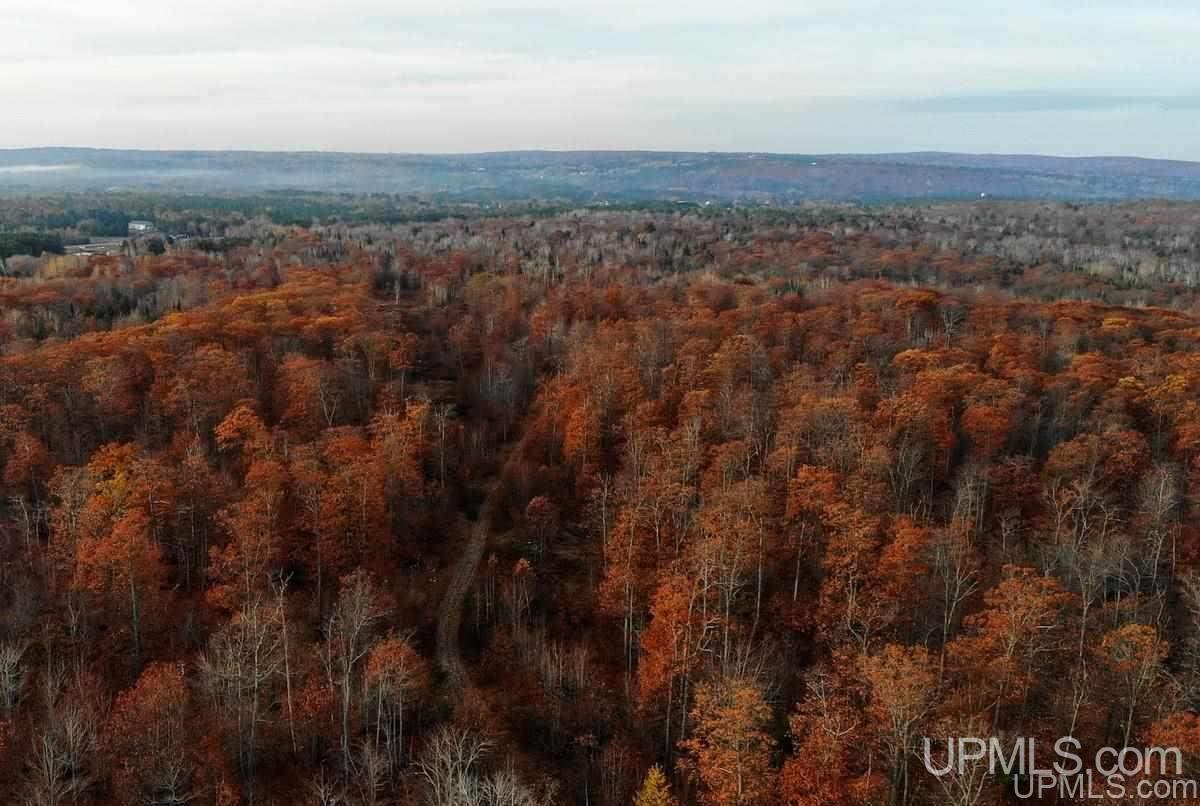 Tbd Tbd Off Us41 Mohawk, MI 49950 - Photo 4 of 22