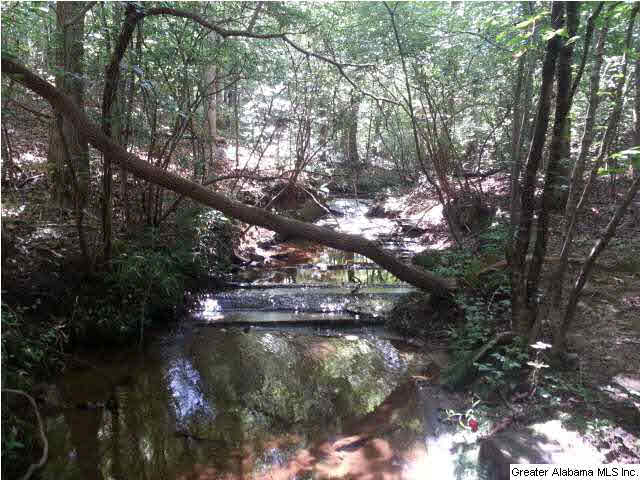 455 County Road, Unit 53 Woodland, AL 36280 - Photo 17 of 21