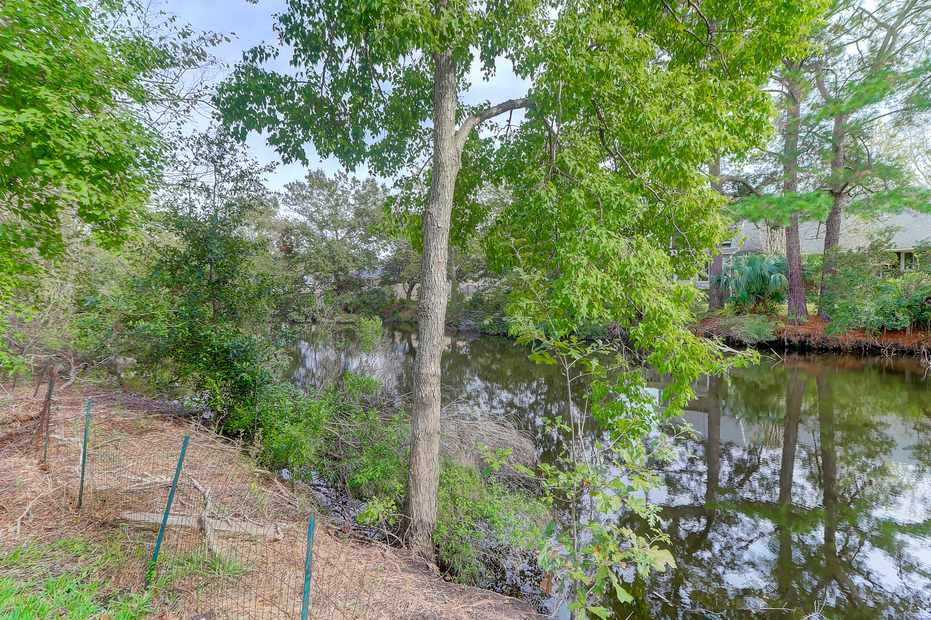 1152 Shoreham Road Charleston, SC 29412 - Photo 7 of 31 1152 Shoreham (37)