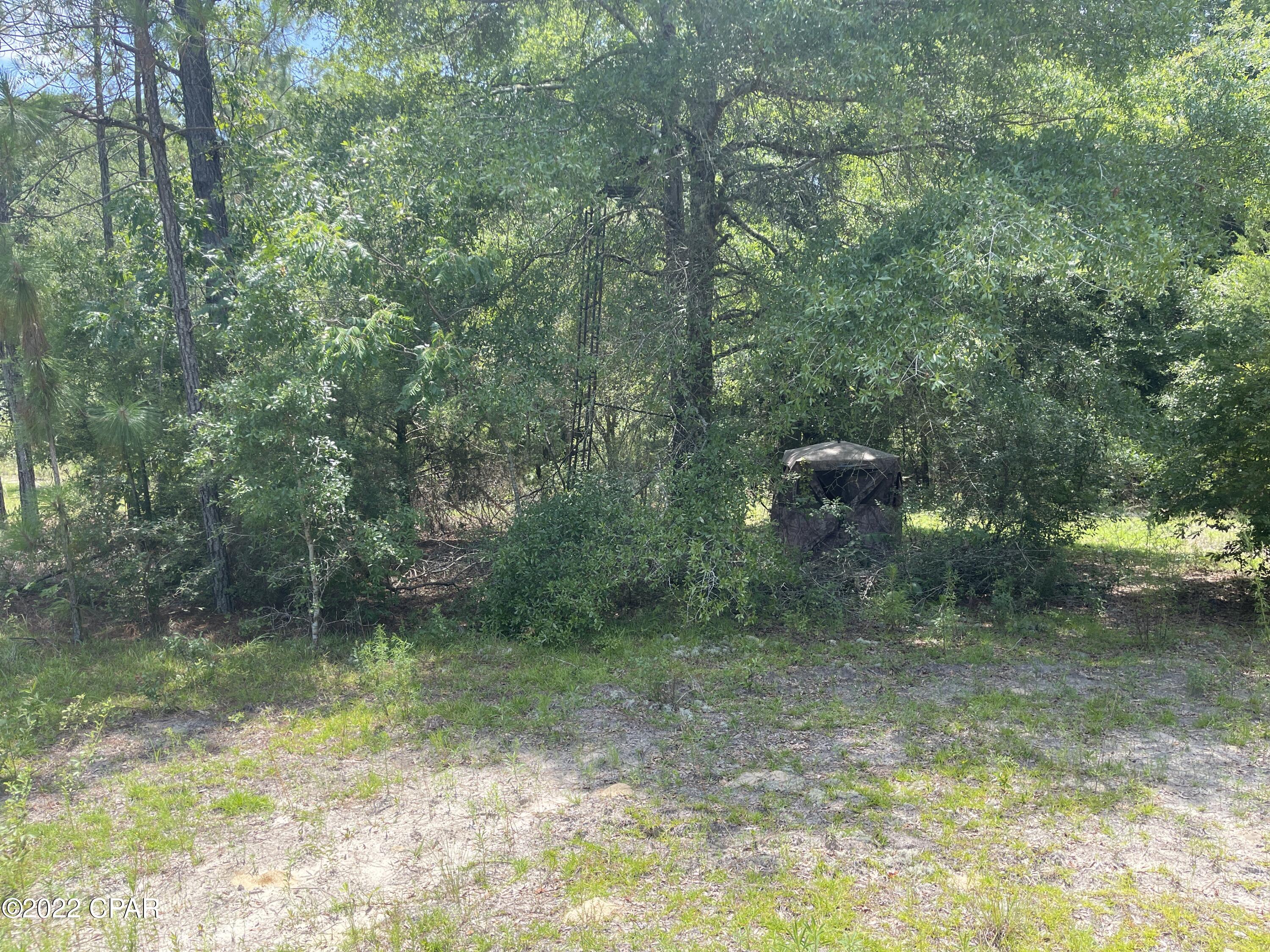 0 Tobe Retherford Road Bonifay, FL 32425 - Photo 9 of 9 Gallery Image 9