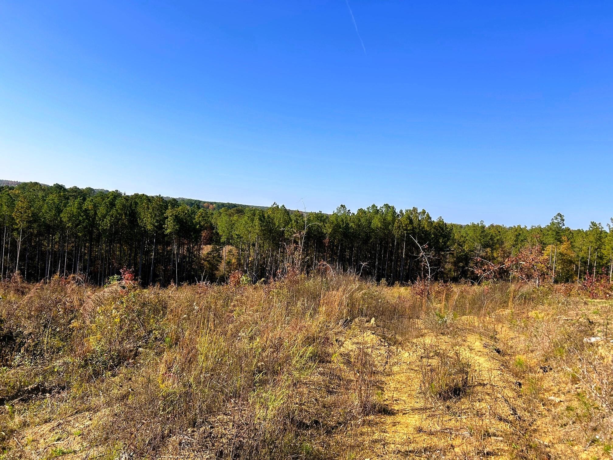 17 Hughes Lake Road Southeast Cleveland, TN 37323 - Photo 16 of 25