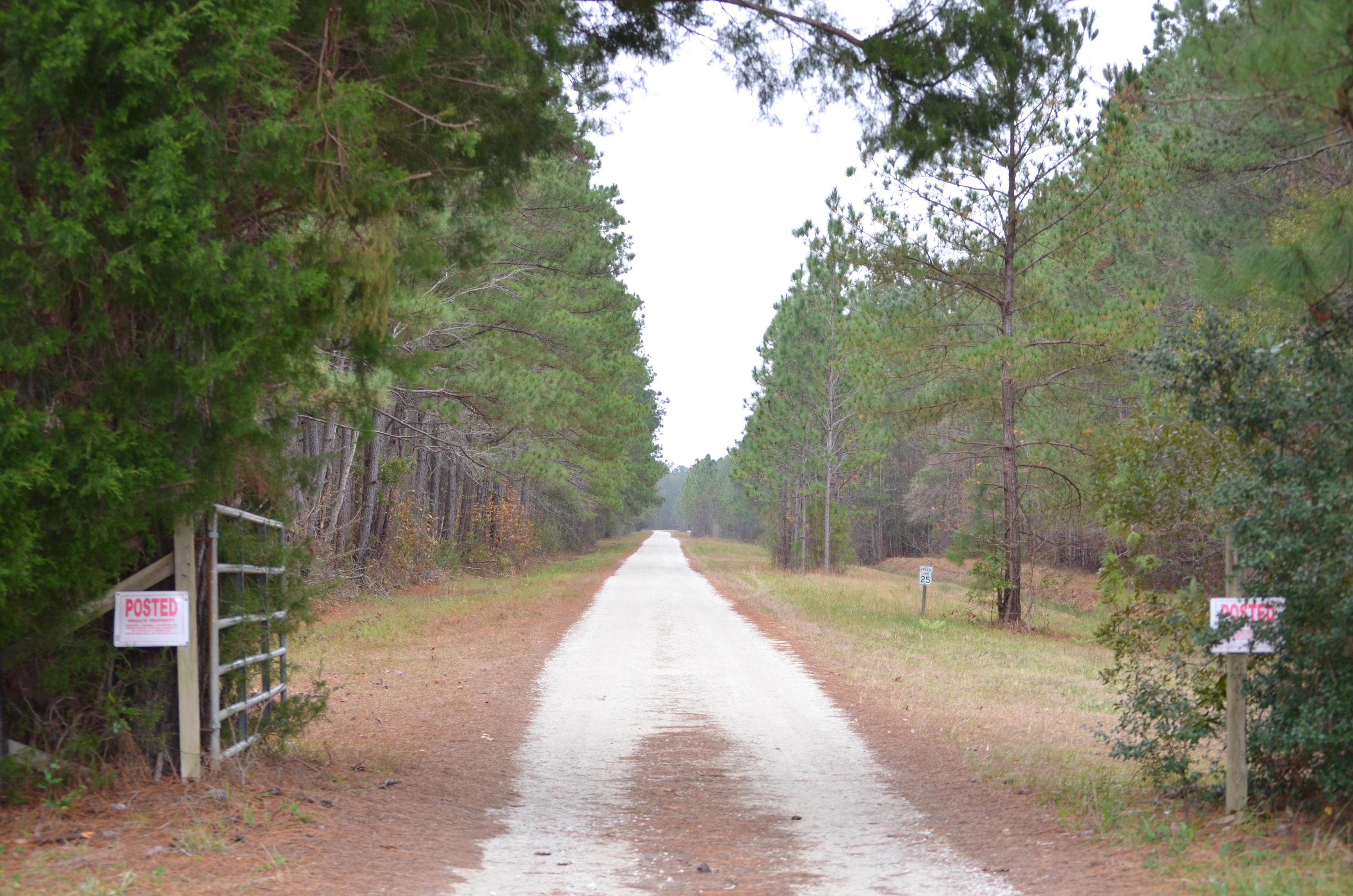 9631 2 Pines Road McClellanville, SC 29458 - Photo 50 of 53 79-Two-Pines-Entrance