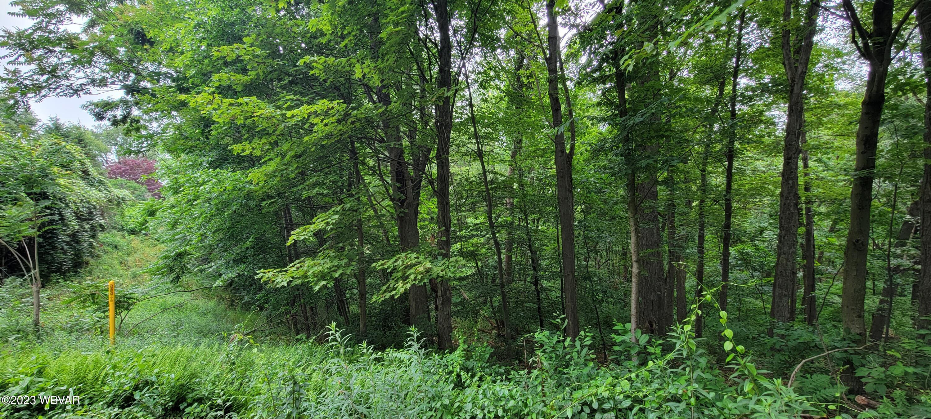 Adele Road Montoursville, PA 17754 - Photo 3 of 7 Gallery Image 3