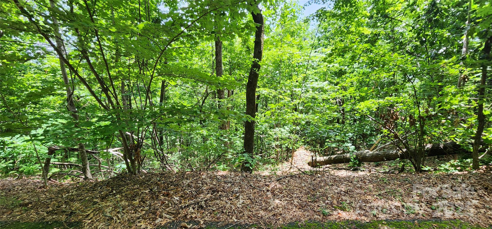 Lot 34 White Oak Mountain Road Columbus, NC 28722 - Photo 5 of 14