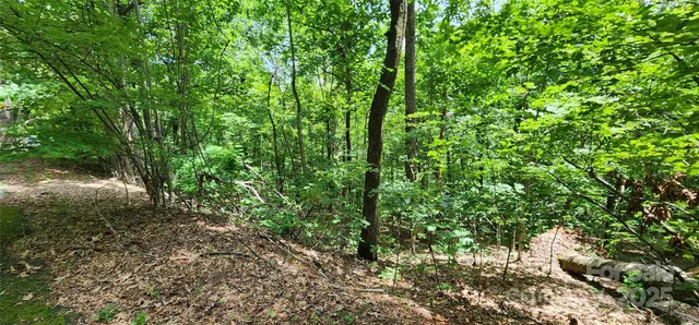 $19,000 | Lot 34 White Oak Mountain Road, Columbus, NC 28722