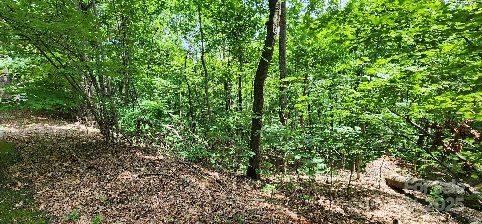 Lot 34 White Oak Mountain Road Columbus, NC 28722 - Photo 6 of 14