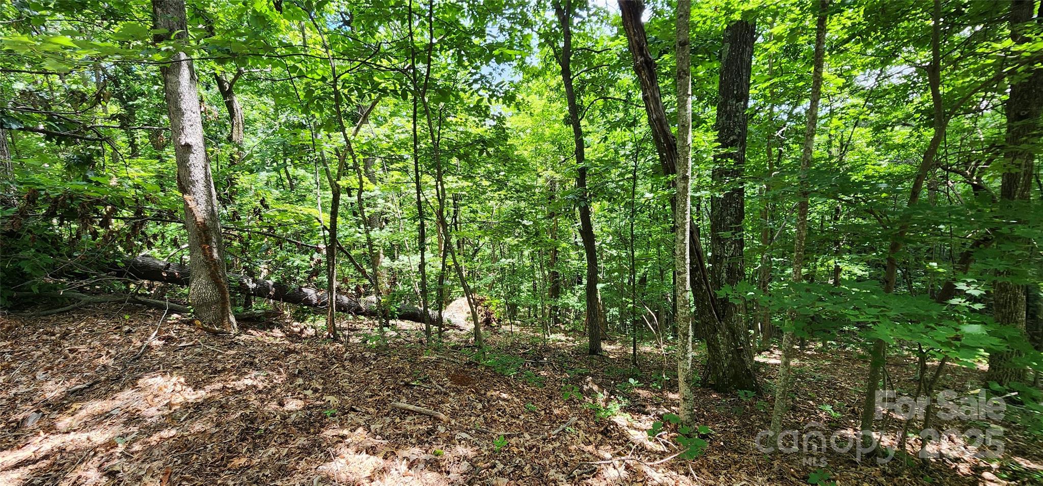 Lot 34 White Oak Mountain Road Columbus, NC 28722 - Photo 7 of 14