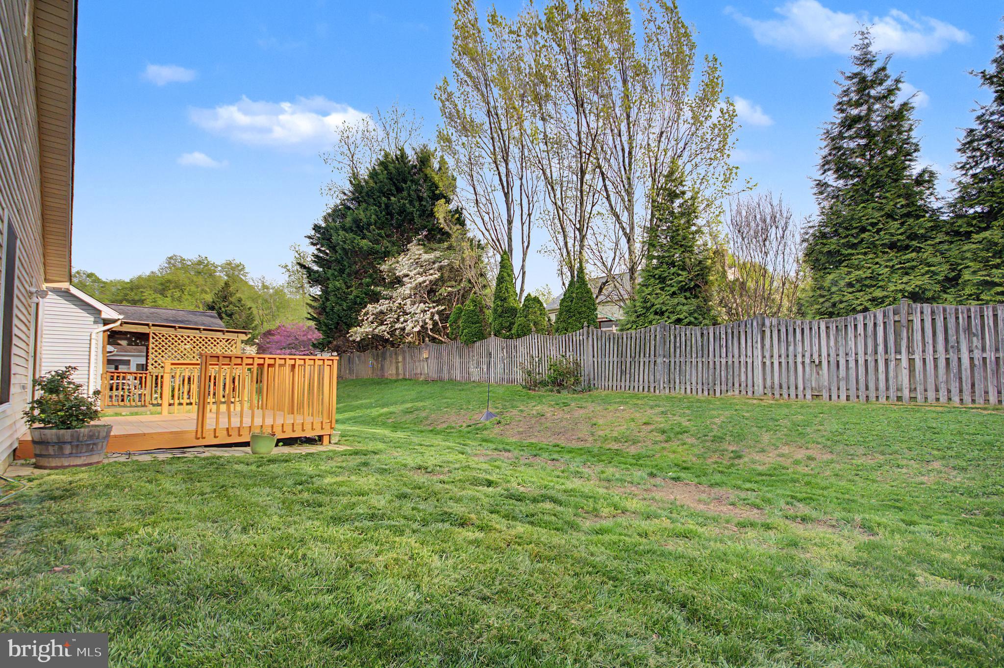 795 Eastern Point Road Annapolis, MD 21401 - Photo 17 of 38 a backyard of a house with lots of green space