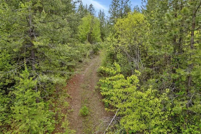 $89,500 | 0 Hesseltine Road, Valley, WA 99181