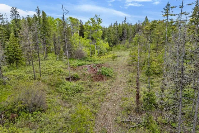 $89,500 | 0 Hesseltine Road, Valley, WA 99181