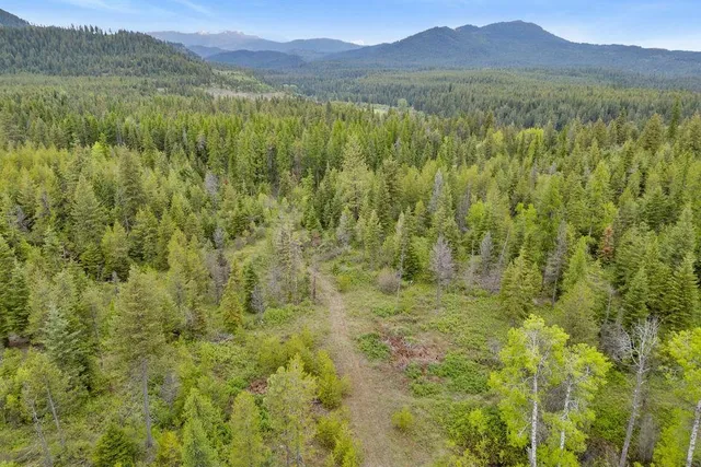 $89,500 | 0 Hesseltine Road, Valley, WA 99181