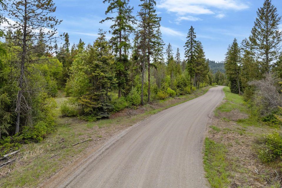 0 Hesseltine Road Valley, WA 99181 - Photo 18 of 20