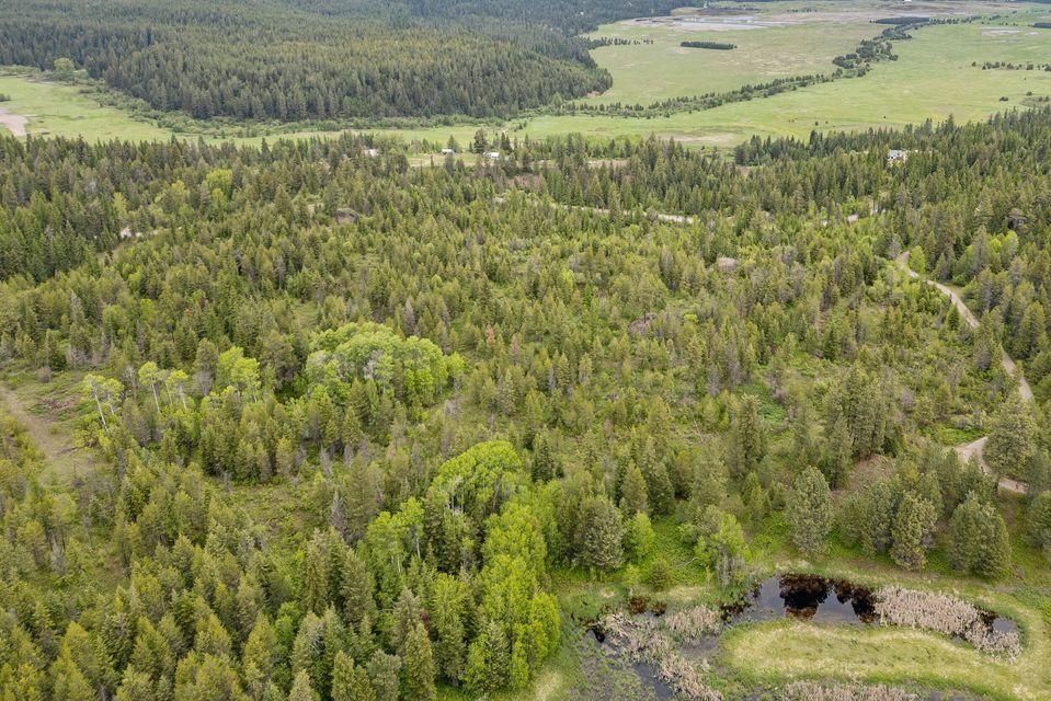 0 Hesseltine Road Valley, WA 99181 - Photo 3 of 20