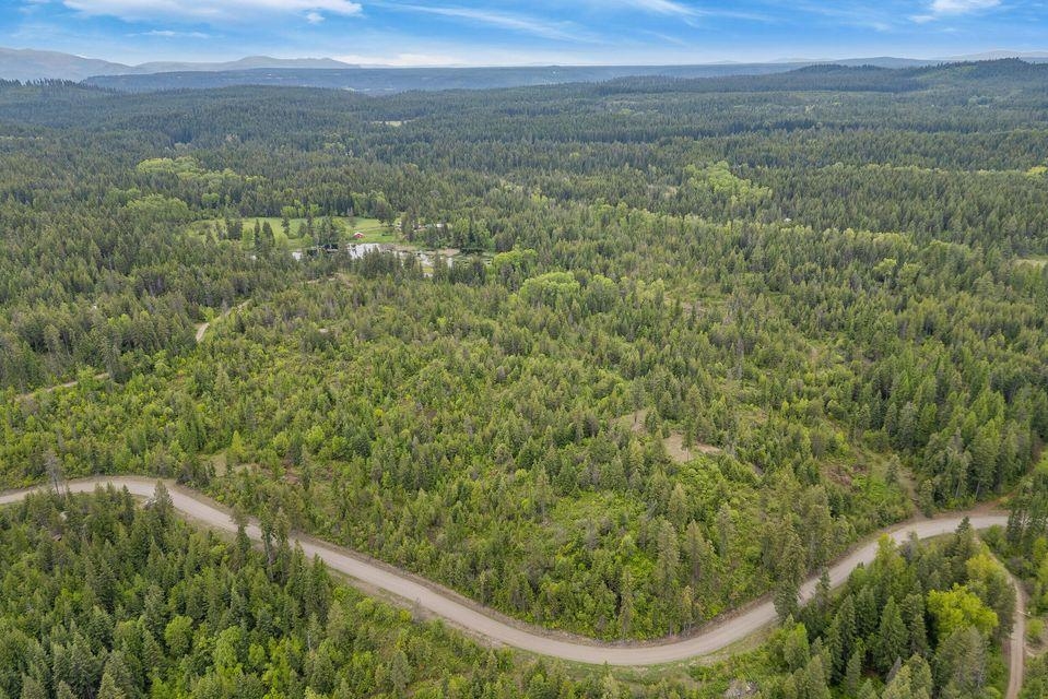 0 Hesseltine Road Valley, WA 99181 - Photo 8 of 20