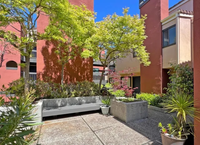 a view of a garden with flowers