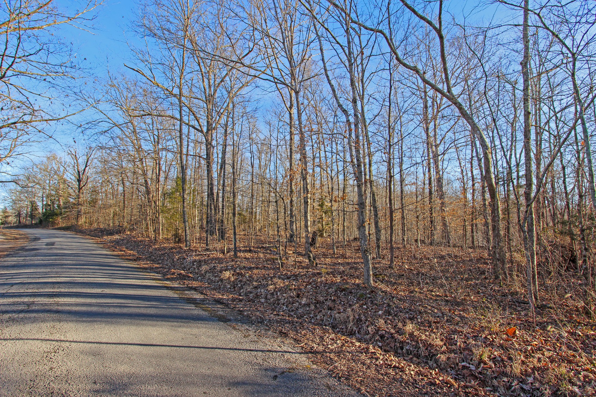 0 Chapel Road Dover, TN 37058 - Photo 1 of 13 Gallery Image 1