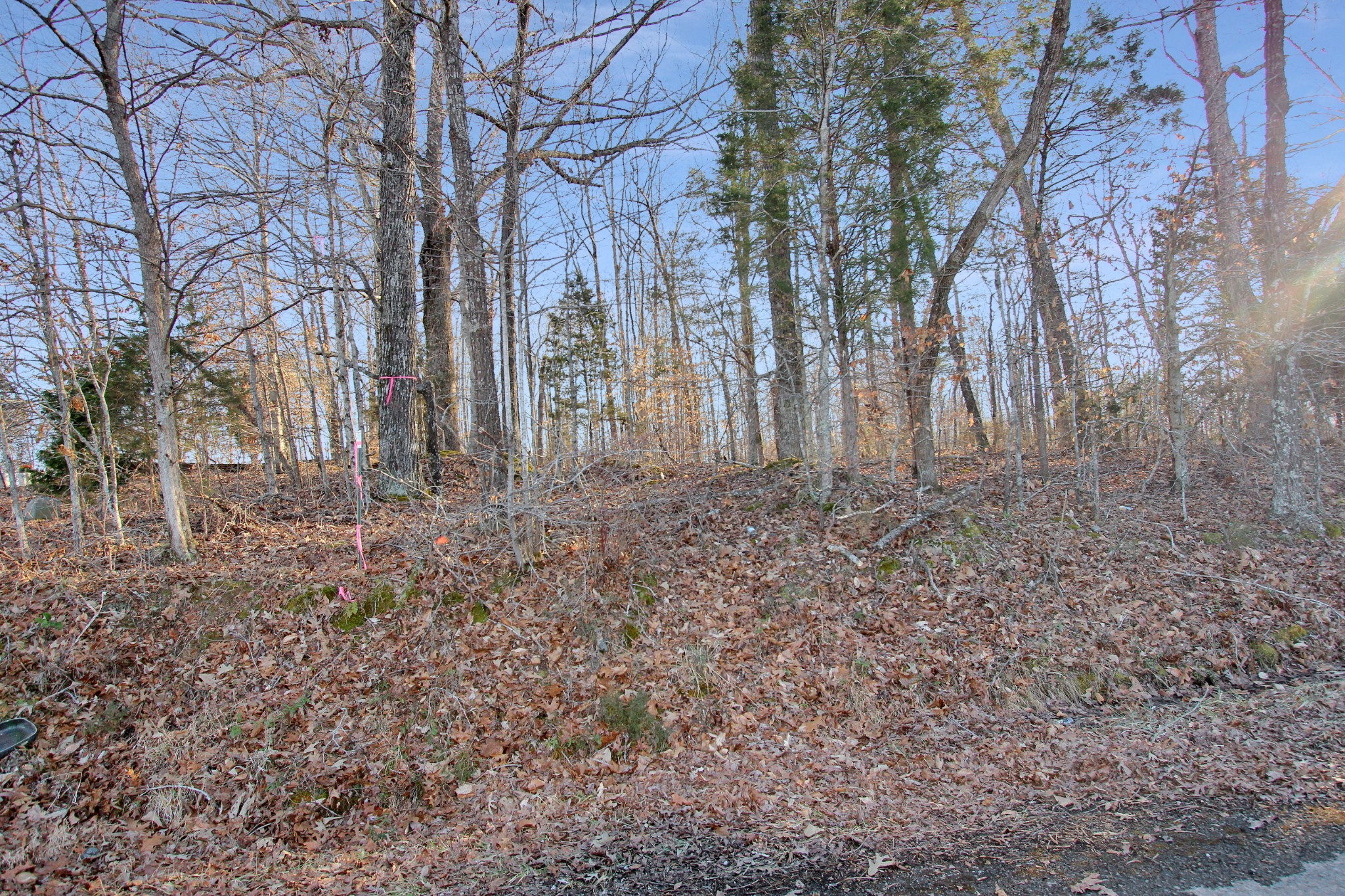 0 Chapel Road Dover, TN 37058 - Photo 11 of 13 Gallery Image 11