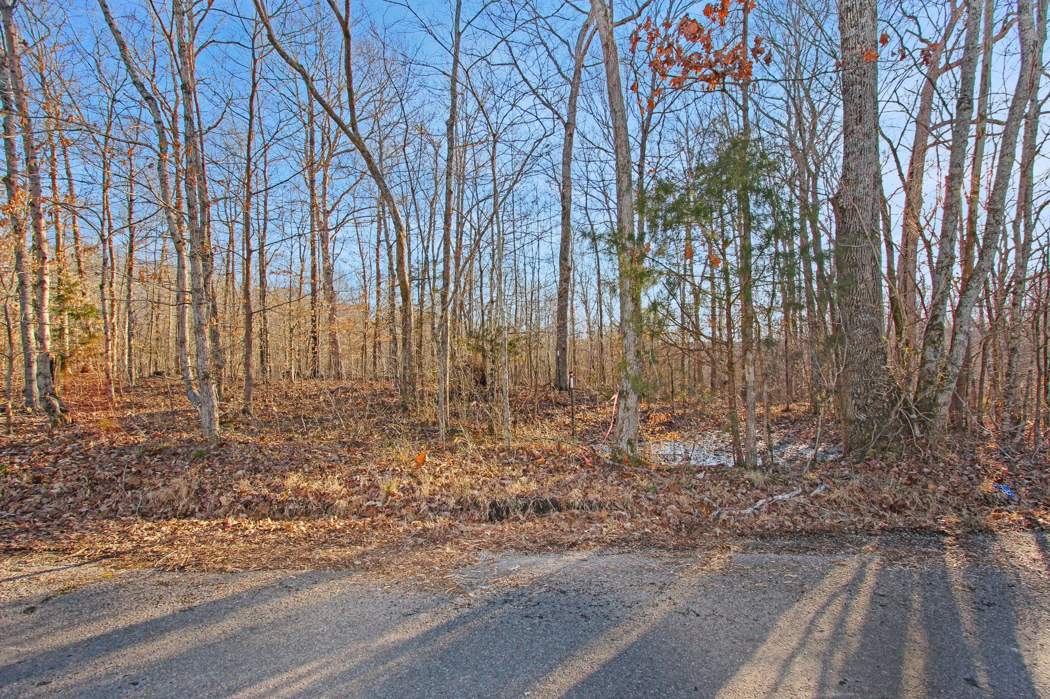 0 Chapel Road Dover, TN 37058 - Photo 2 of 13 Gallery Image 2