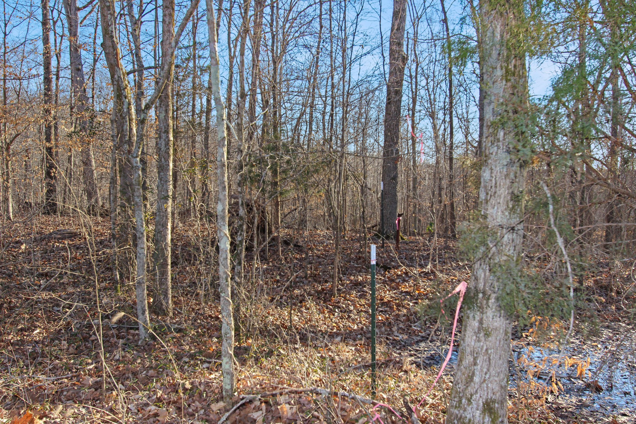 0 Chapel Road Dover, TN 37058 - Photo 3 of 13 Gallery Image 3