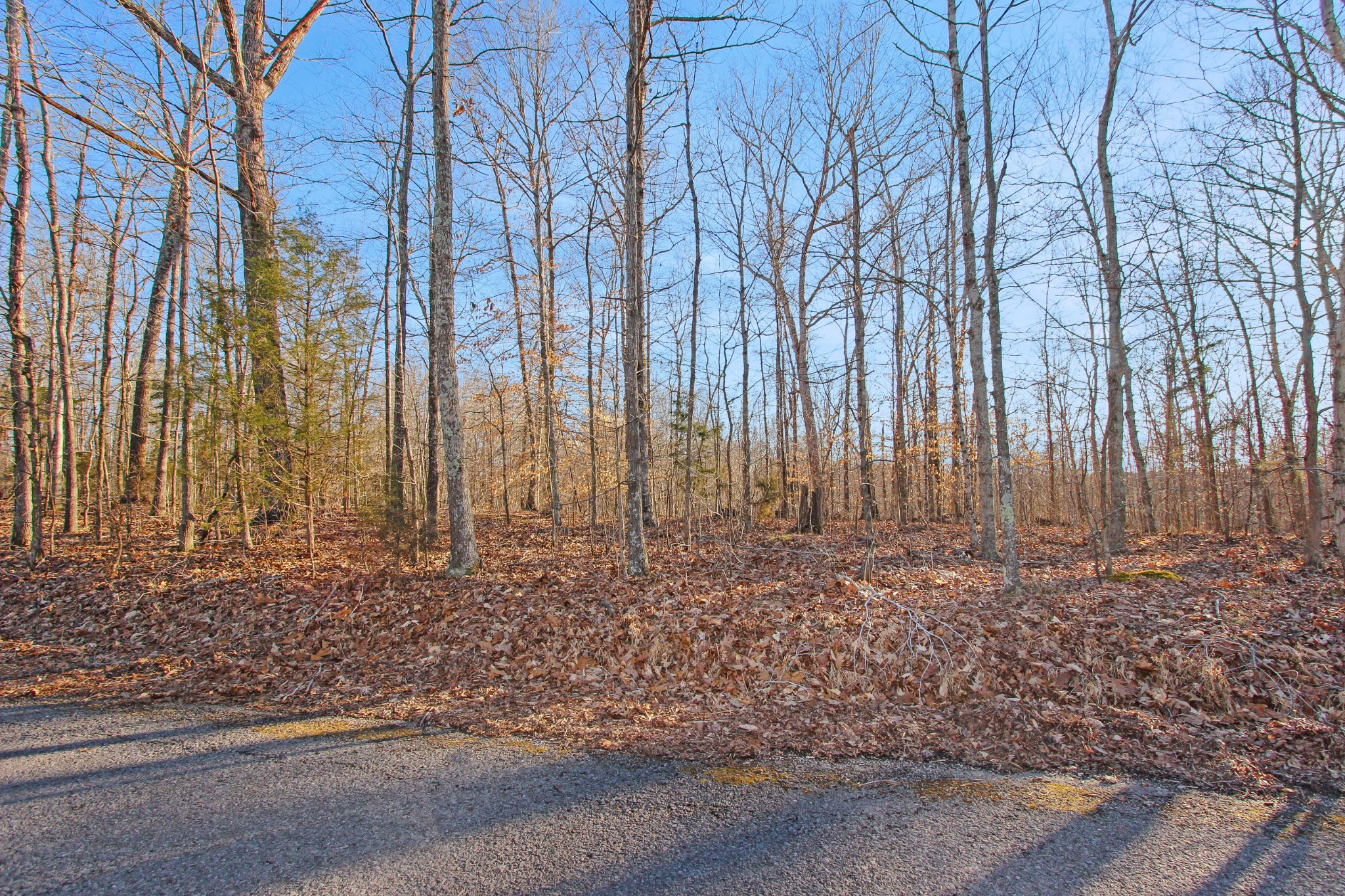 0 Chapel Road Dover, TN 37058 - Photo 4 of 13 Gallery Image 4