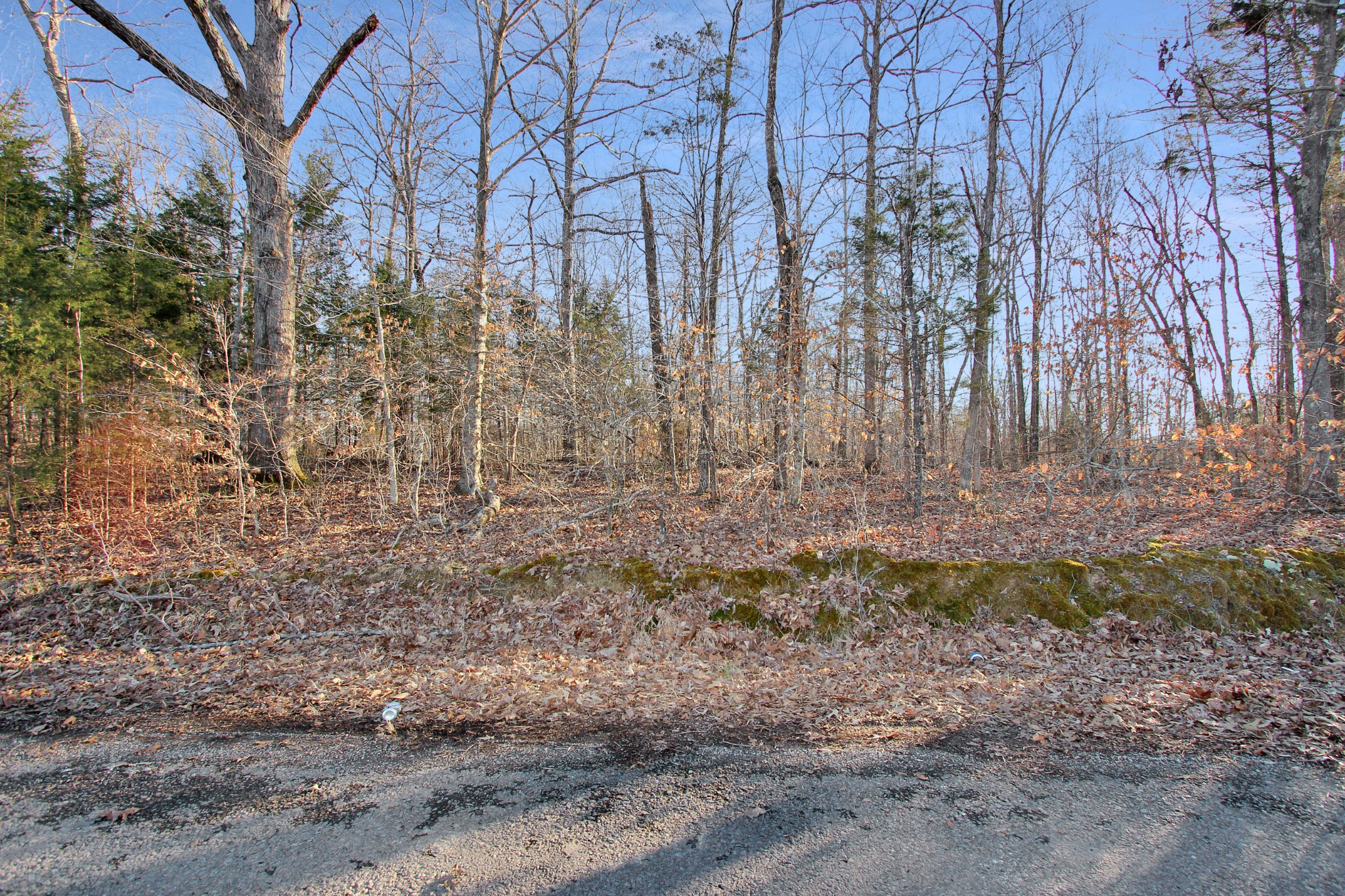 0 Chapel Road Dover, TN 37058 - Photo 6 of 13 Gallery Image 6