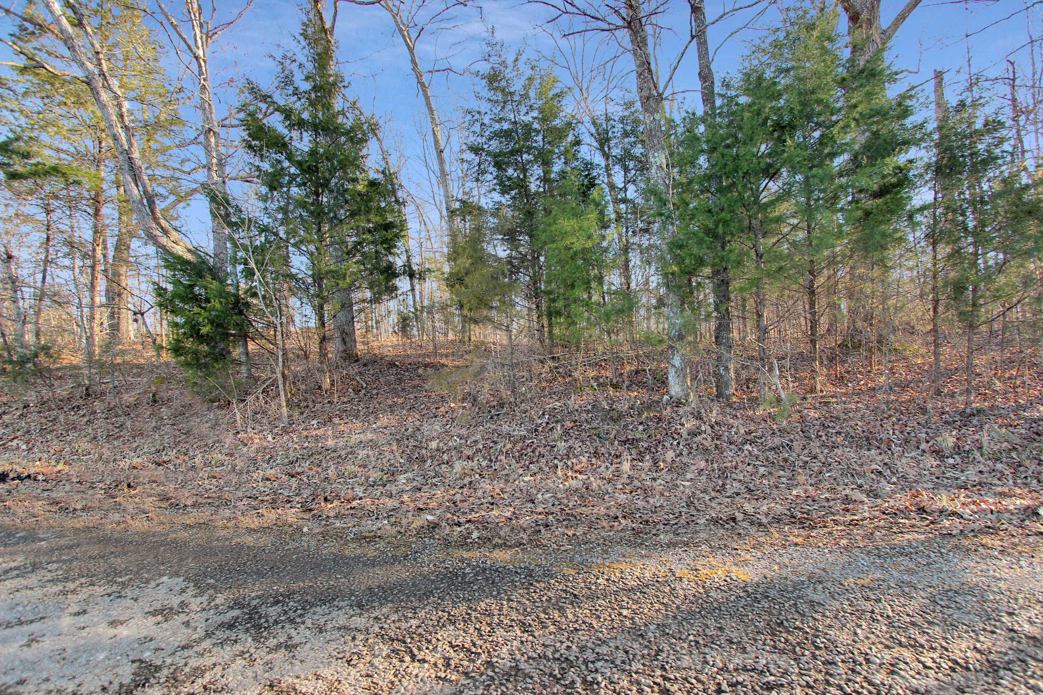 0 Chapel Road Dover, TN 37058 - Photo 8 of 13 Gallery Image 8