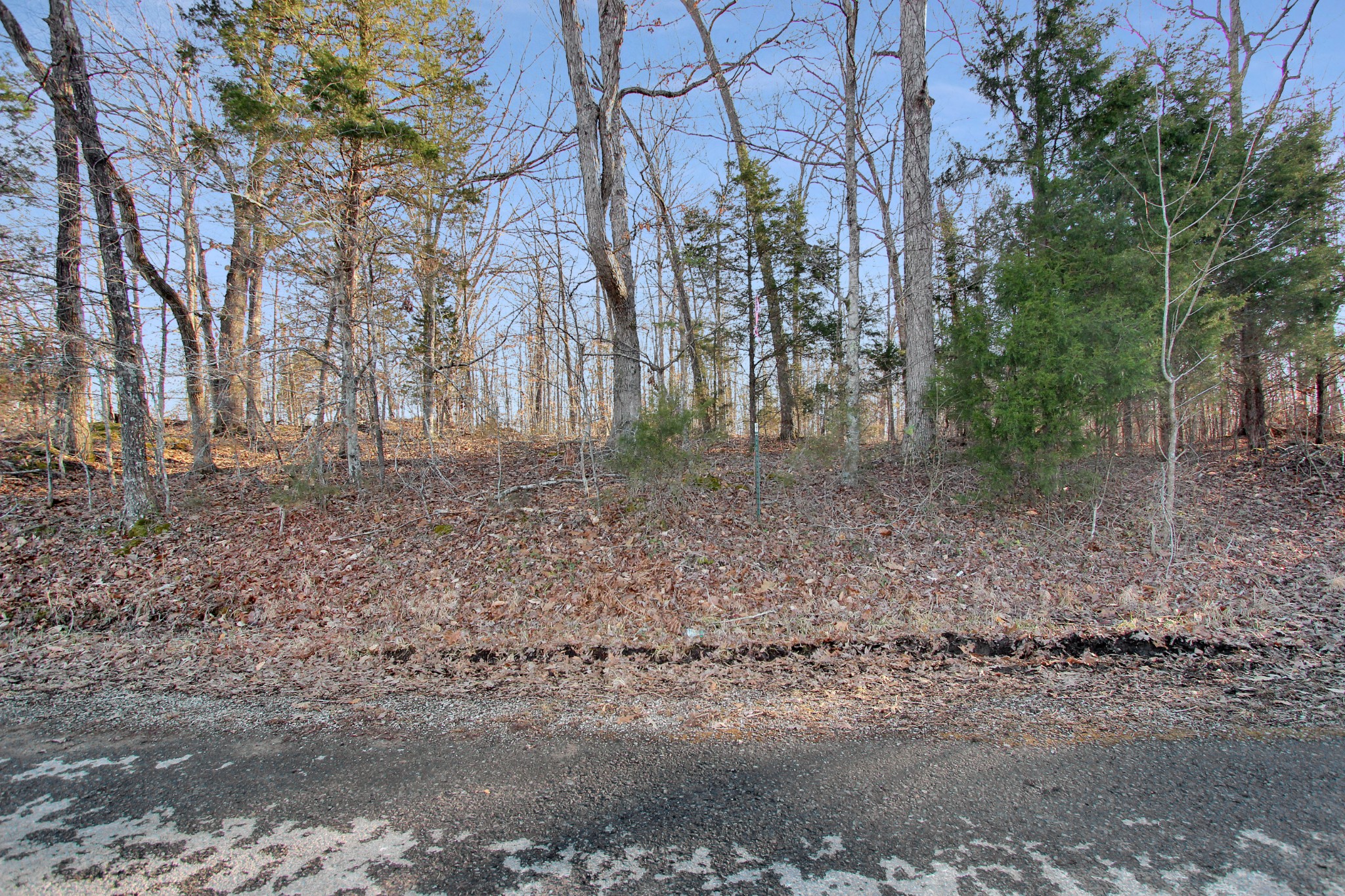 0 Chapel Road Dover, TN 37058 - Photo 10 of 13 Gallery Image 10