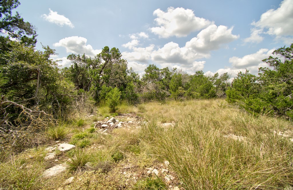 Lot 16 Paloma Ranch Rd Mountain, Unit 16 Mountain Home, TX 78058 - Photo 11 of 15