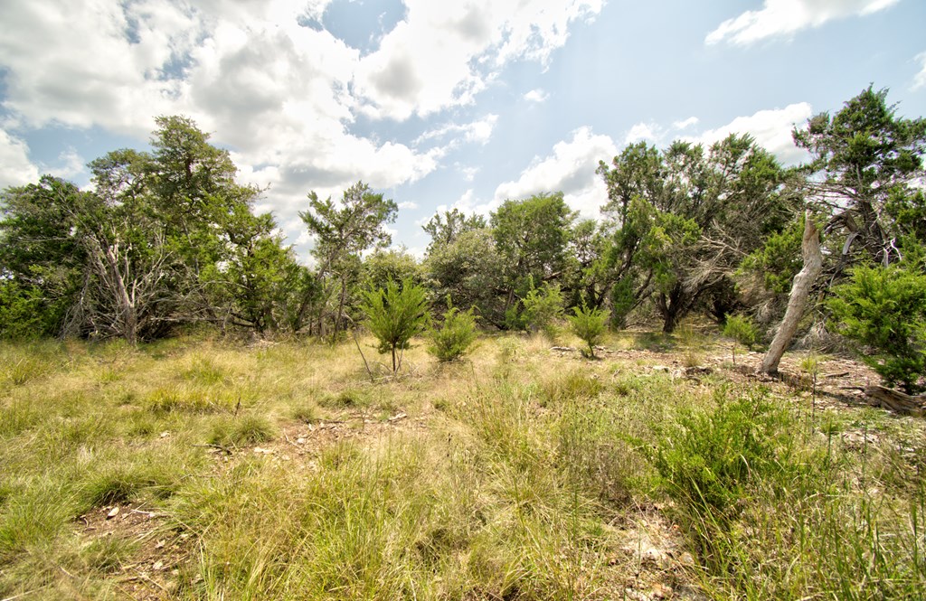 Lot 16 Paloma Ranch Rd Mountain, Unit 16 Mountain Home, TX 78058 - Photo 12 of 15