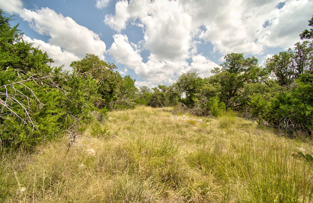 Lot 16 Paloma Ranch Rd Mountain, Unit 16 Mountain Home, TX 78058 - Photo 13 of 15