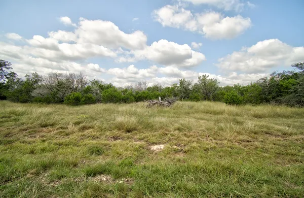 a view of a lake from a yard
