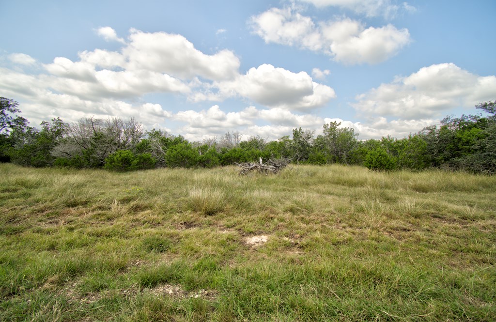 Lot 16 Paloma Ranch Rd Mountain, Unit 16 Mountain Home, TX 78058 - Photo 4 of 15