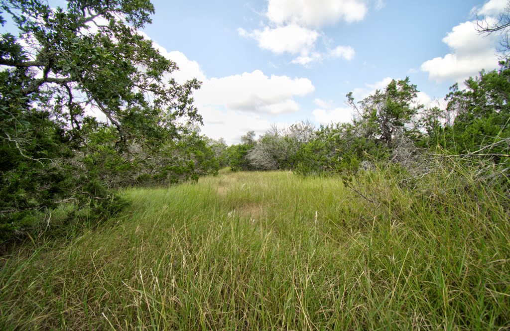 Lot 16 Paloma Ranch Rd Mountain, Unit 16 Mountain Home, TX 78058 - Photo 7 of 15