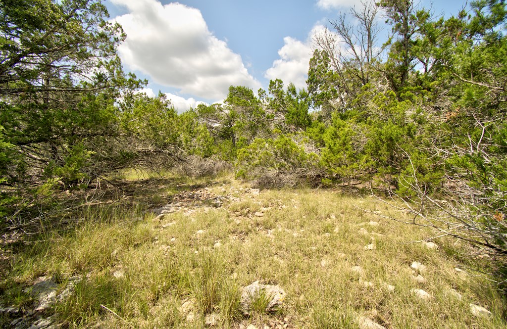 Lot 16 Paloma Ranch Rd Mountain, Unit 16 Mountain Home, TX 78058 - Photo 10 of 15