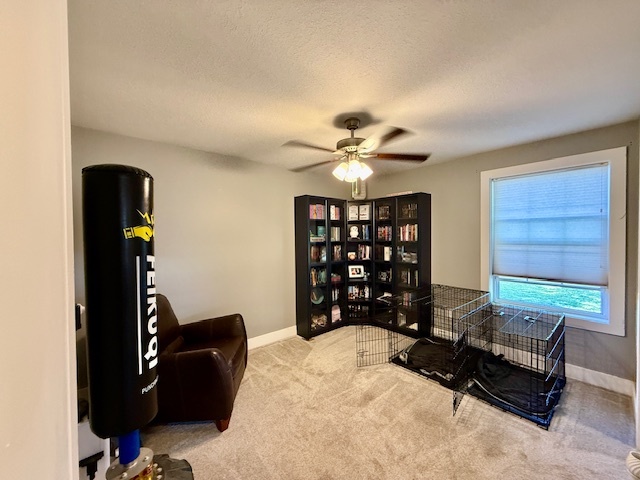 708 East North Street Monticello, IL 61856 - Photo 13 of 38 a living room with furniture