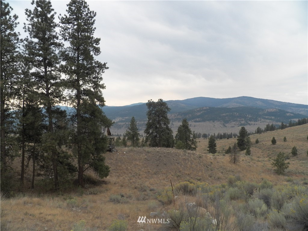 -tbd Cayuse Mountain Road Tonasket, WA 98855 - Photo 1 of 24 Gallery Image 1