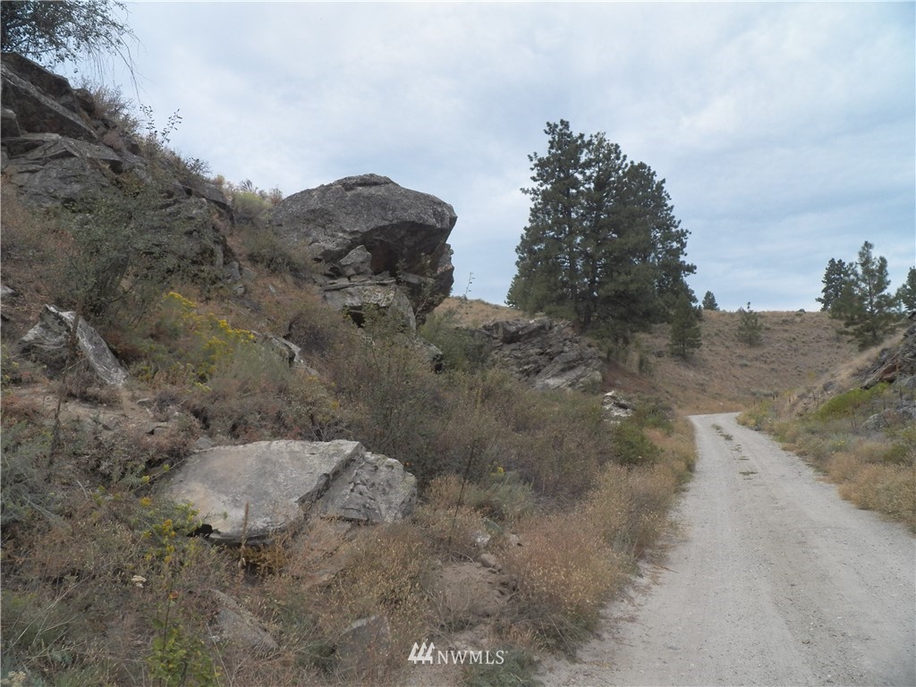 -tbd Cayuse Mountain Road Tonasket, WA 98855 - Photo 2 of 24 Gallery Image 2