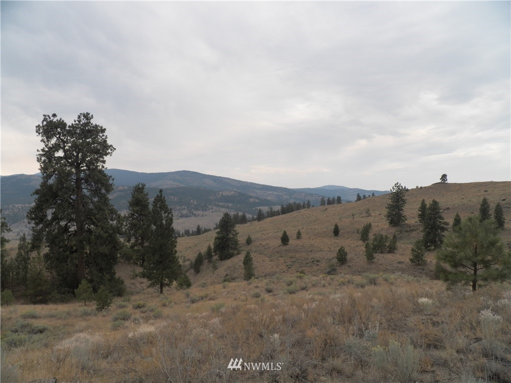 -tbd Cayuse Mountain Road Tonasket, WA 98855 - Photo 11 of 24 Gallery Image 11