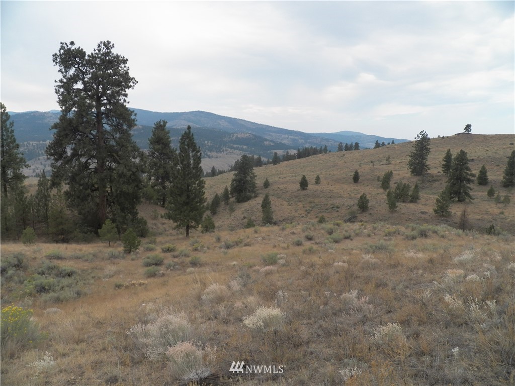 -tbd Cayuse Mountain Road Tonasket, WA 98855 - Photo 12 of 24 Gallery Image 12