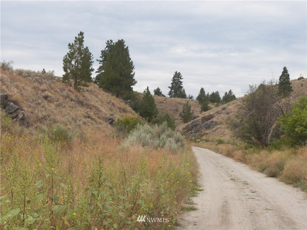 -tbd Cayuse Mountain Road Tonasket, WA 98855 - Photo 13 of 24 Gallery Image 13