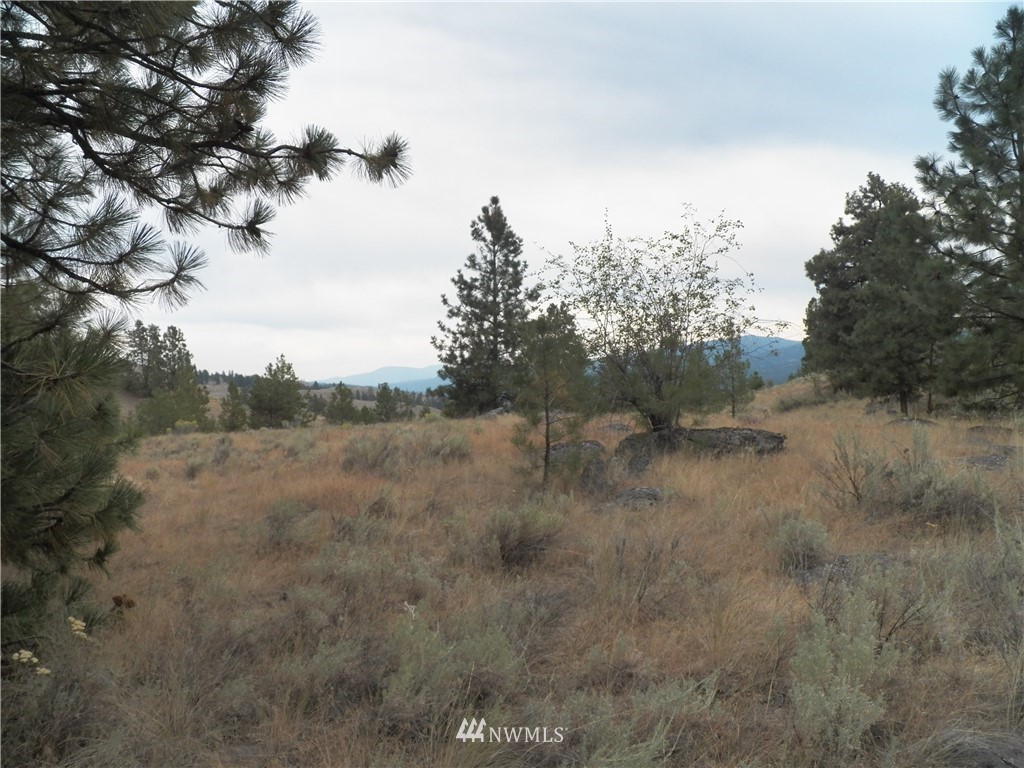 -tbd Cayuse Mountain Road Tonasket, WA 98855 - Photo 15 of 24 Gallery Image 15