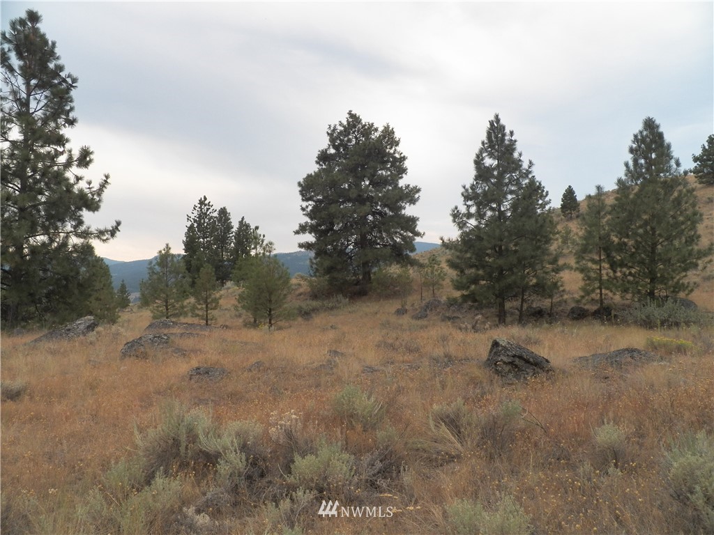 -tbd Cayuse Mountain Road Tonasket, WA 98855 - Photo 16 of 24 Gallery Image 16