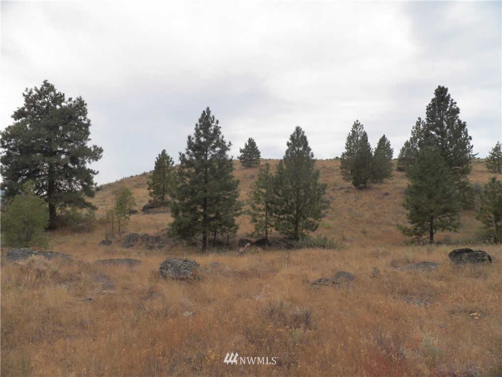 -tbd Cayuse Mountain Road Tonasket, WA 98855 - Photo 17 of 24 Gallery Image 17