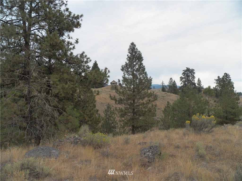 -tbd Cayuse Mountain Road Tonasket, WA 98855 - Photo 18 of 24 Gallery Image 18