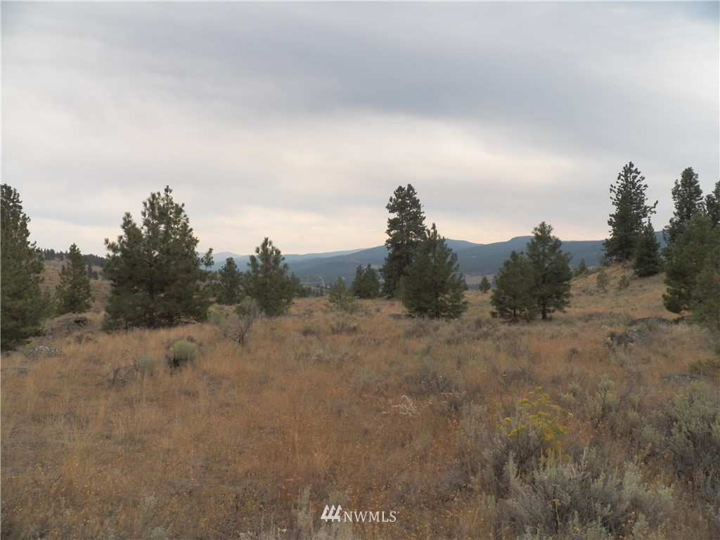 -tbd Cayuse Mountain Road Tonasket, WA 98855 - Photo 19 of 24 Gallery Image 19