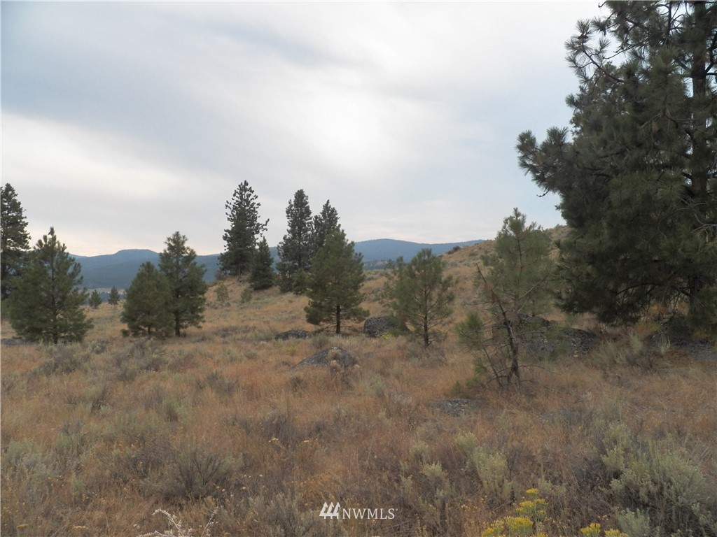-tbd Cayuse Mountain Road Tonasket, WA 98855 - Photo 20 of 24 Gallery Image 20